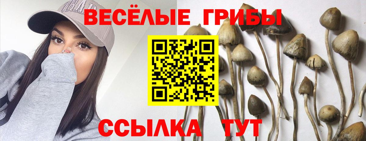 Лысьва  Галлюциногенные грибы GOLDEN TEACHER  Вход с VPN 