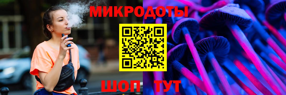 Псилоцибиновые грибы Psilocybe Лысьва
